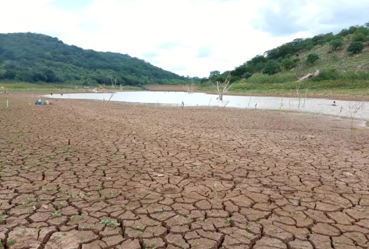 Poucas chuvas e tempo seco desafia agricultores do norte do Piauí